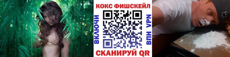 хочу   Малаховка  COCAIN Эквадор 