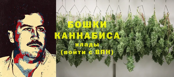стаф Волоколамск