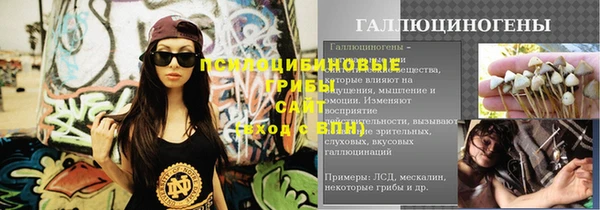 сатива Волосово