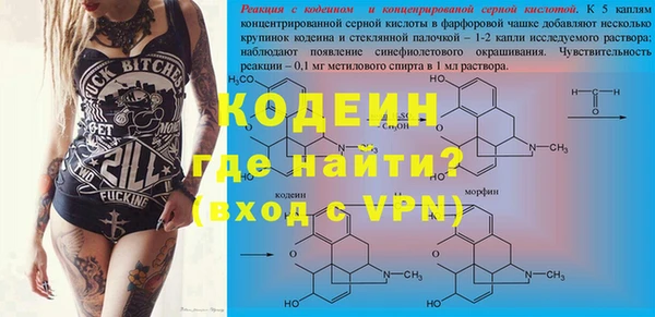 сатива Волосово