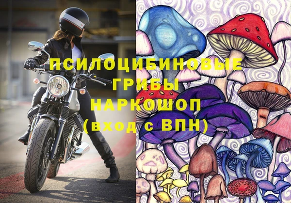 стаф Волоколамск