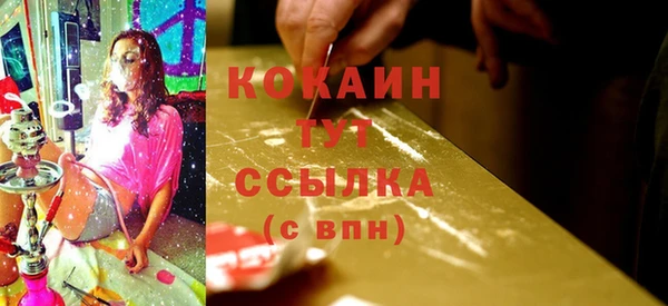 сатива Волосово