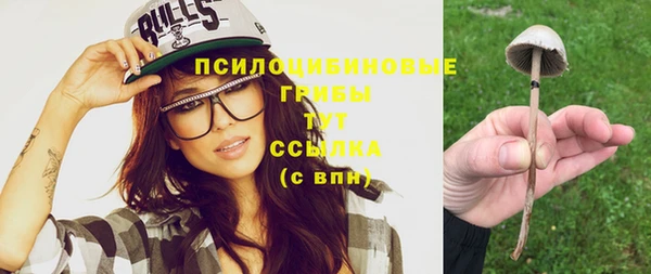 стаф Волоколамск