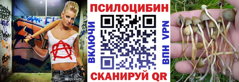закладки  Малаховка  кракен вход  Псилоцибиновые грибы GOLDEN TEACHER 