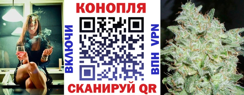 Марихуана сатива как найти закладки Малаховка